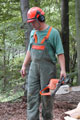 Click to see it big Ich mit Kettensäge, Impression aus dem Wald